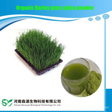 Organic Barley grass juice powder